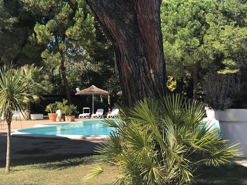 Hotel Perrozzi 瓦斯托 外观 照片